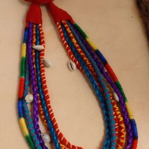 Multi Colored Strings Necklace with Kowrees