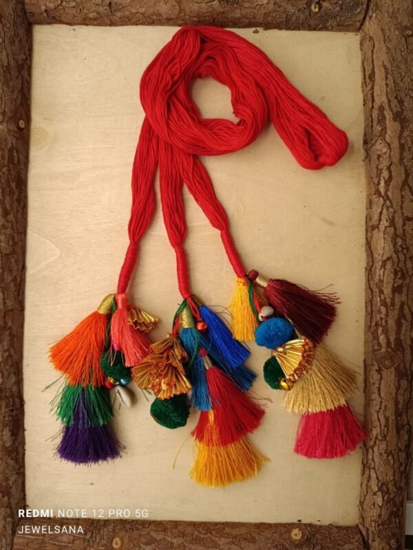 Multi Color Tassles Parandi Feat Shreya Ghoshal - Image 4